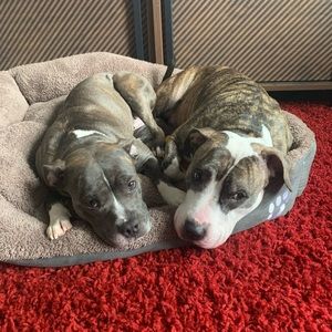 Meet your Posher, Arthur